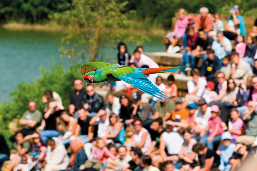 Parc des oiseaux - ©JB MERILLOT