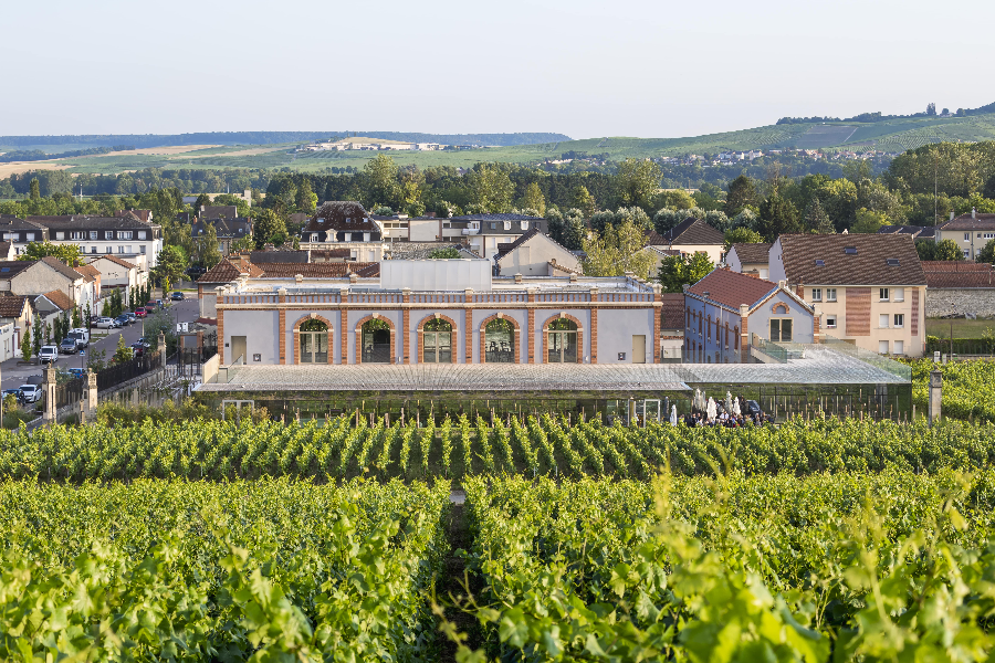 PRESSORIA - VOYAGE SENSORIEL AU COEUR DU CHAMPAGNE