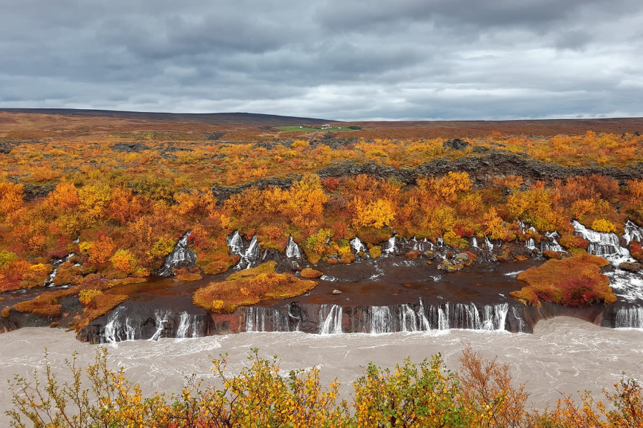 iceland golden tour