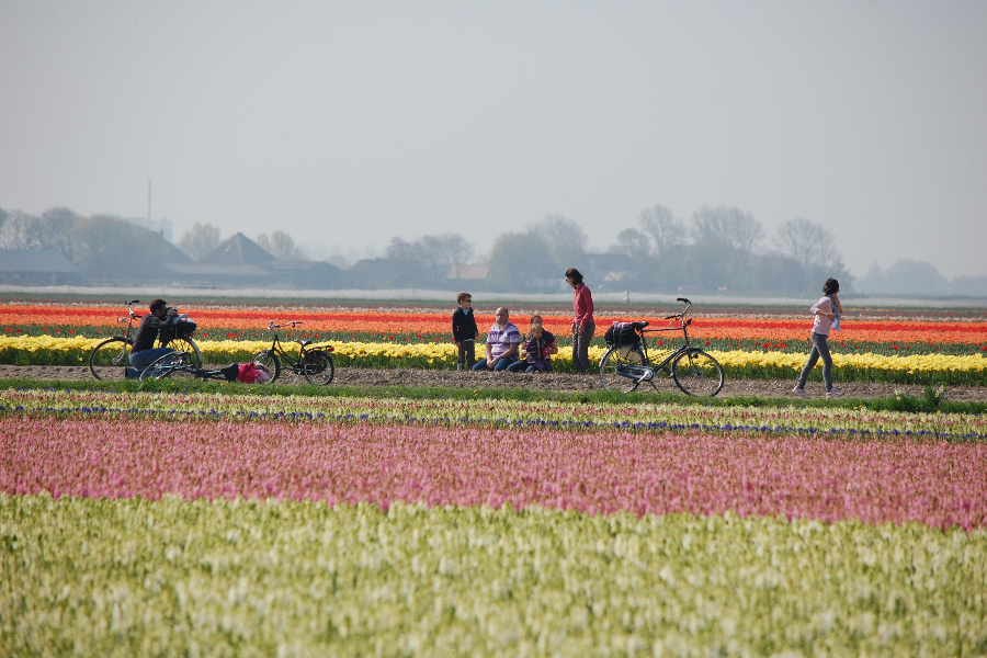 DUTCH BIKE TOURS