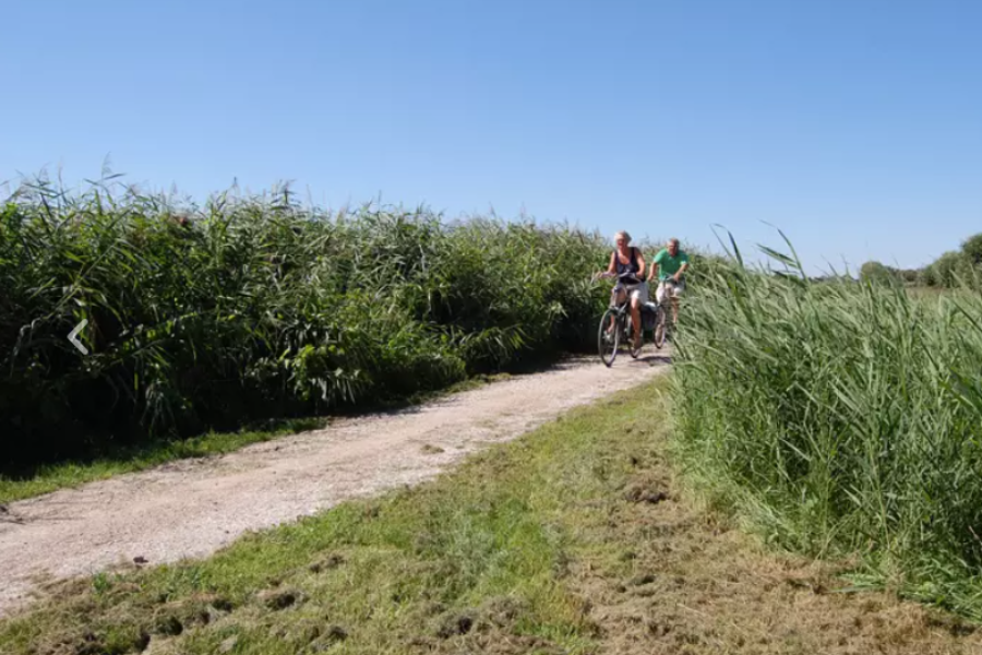 DUTCH BIKE TOURS