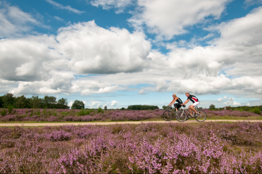 Veluwe