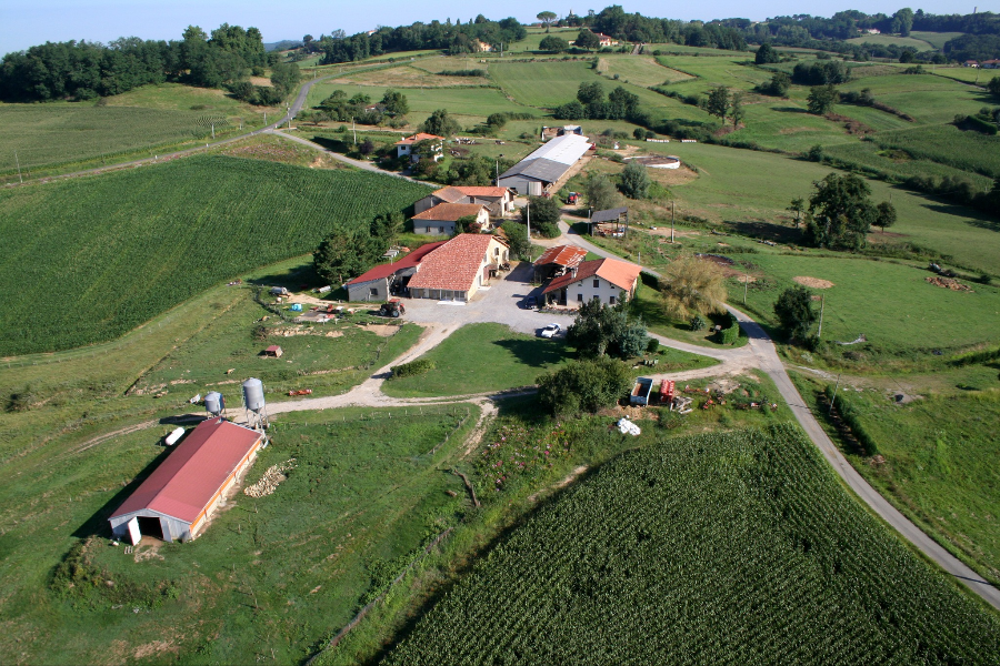 L'ESTANQUET - FERME MOULIÉ