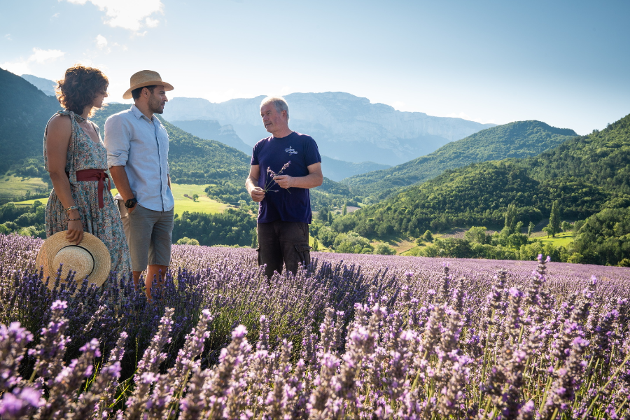Randonnée dans les champs de lavande