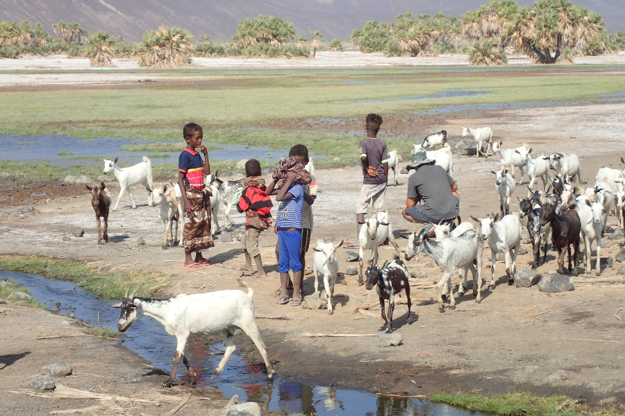 AFRICORNE TRAVEL