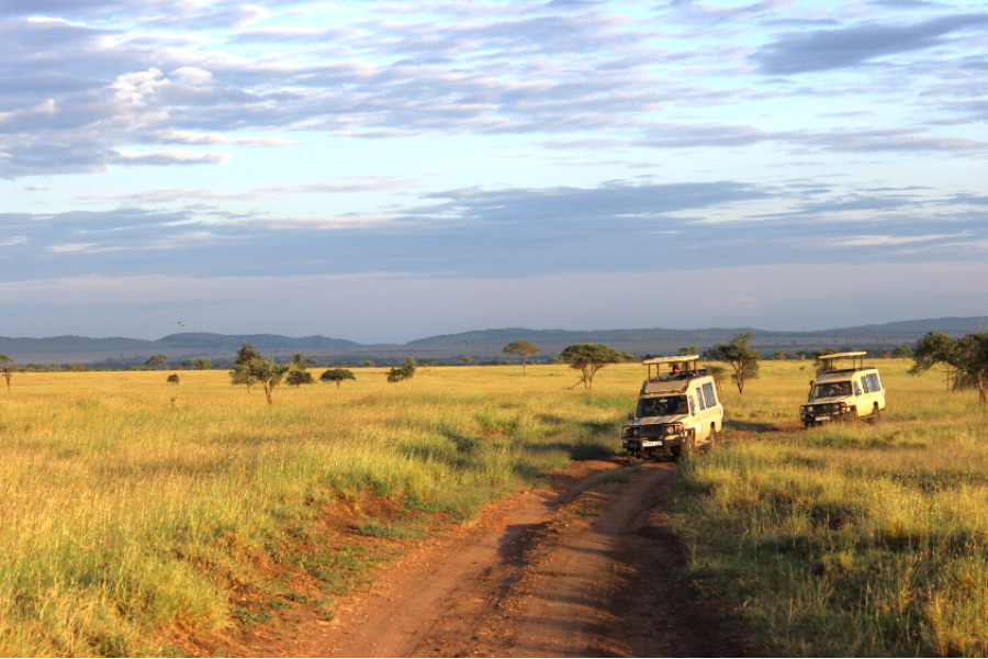 Safari Serengeti National Park, Tanzania - ©Loreto Rocha