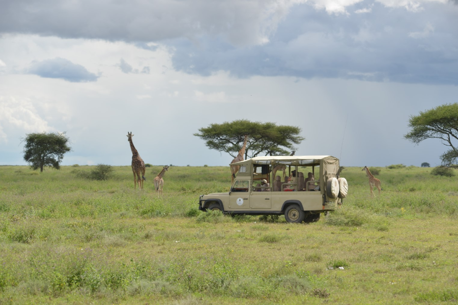 Game Drive in TNS Hospitality Open Vehicle - ©TNS Hospitality