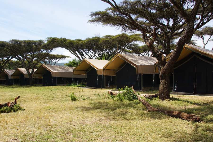 Ngorongoro Kuhama Camp Guest Tent - ©TNS Hospitality