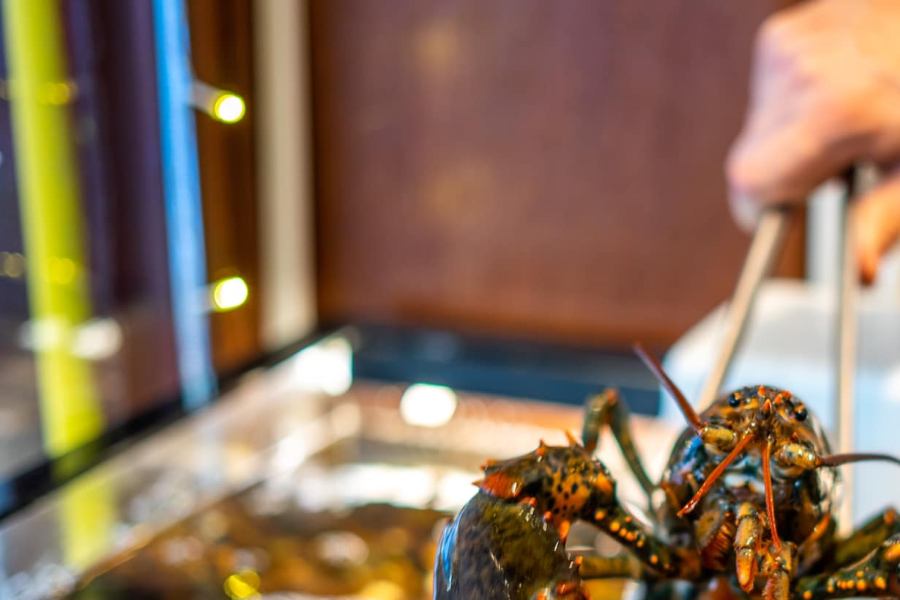En direct de notre vivier à homard : de la mer à votre assiette, votre homard servi froid ou chaud - ©brasserie signature