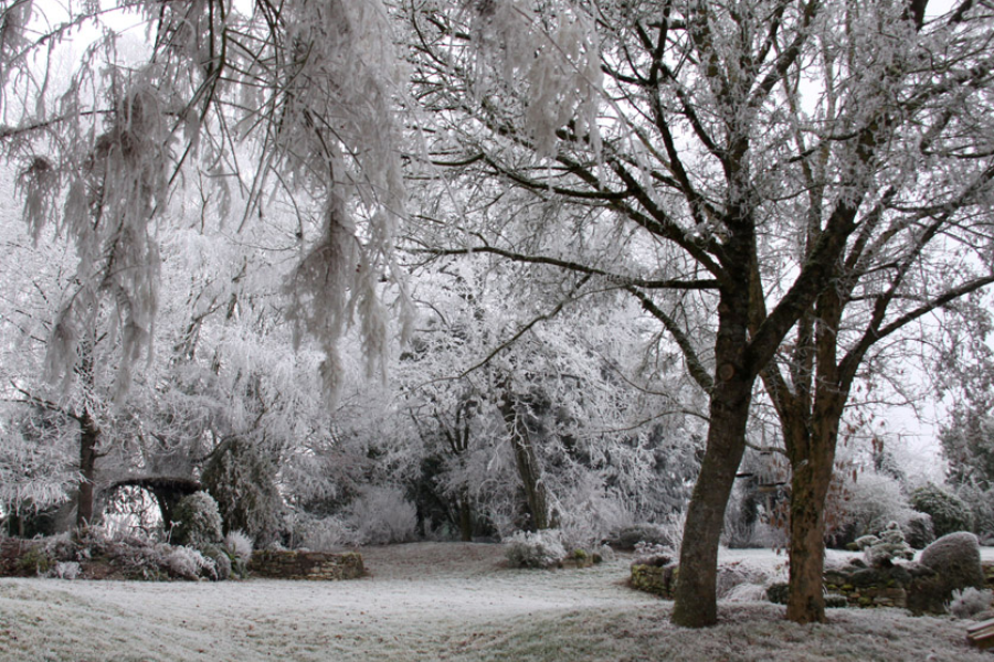 Jardin d'hiver - ©Chambres d'hôtes de la Fontaine