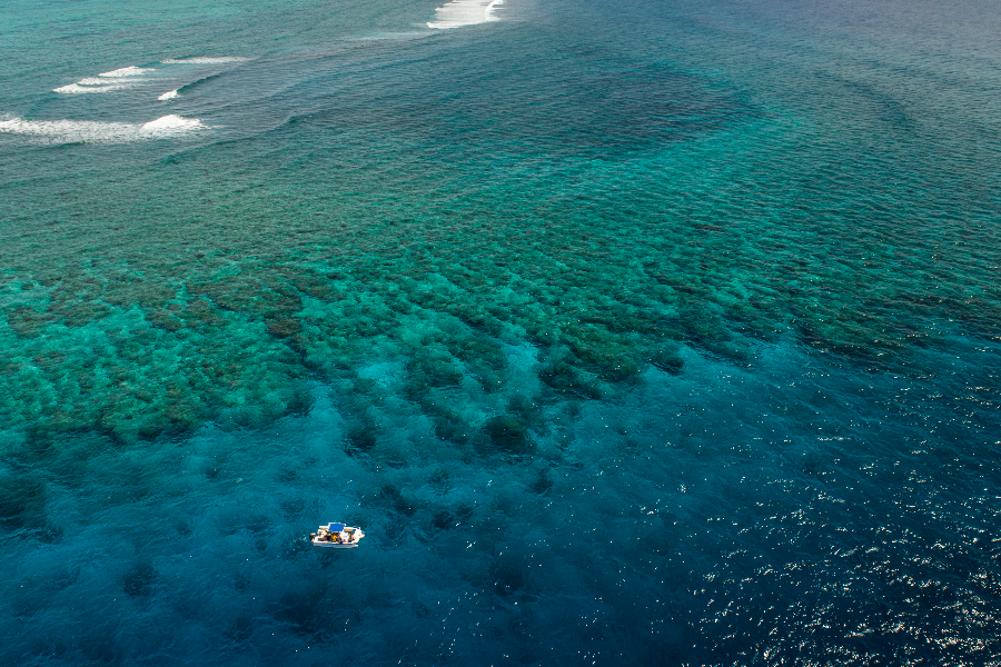 Great sea reef - ©Nukubati