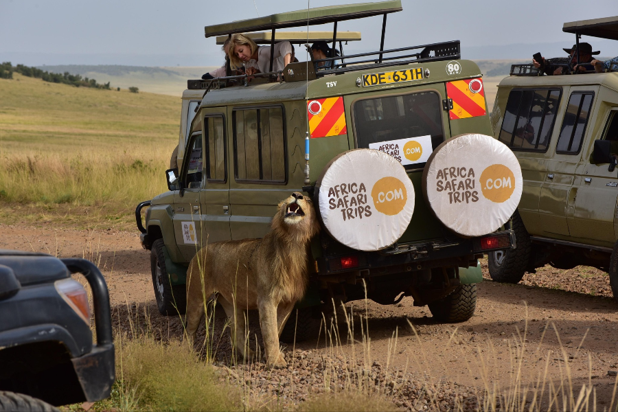 Voyager avec Safari en Afrique - ©Africa Safari Trips