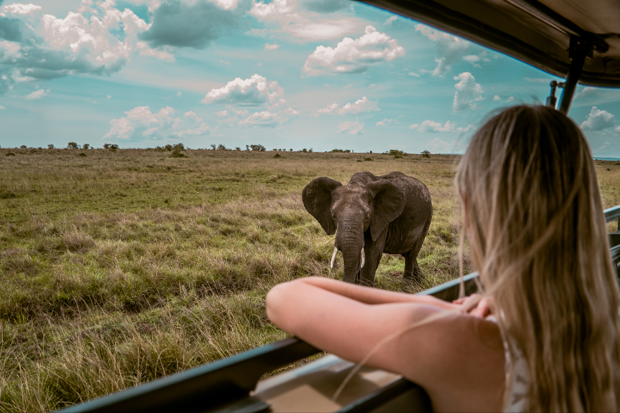 Un éléphant vu depuis l'une de nos voitures de safari au Kenya - ©Africa Safari Trips