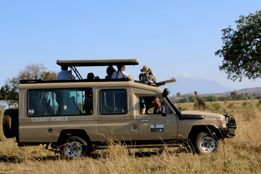 Wildlife Safaris In Kidepo valley National Park - ©Gorilla Walking Safaris