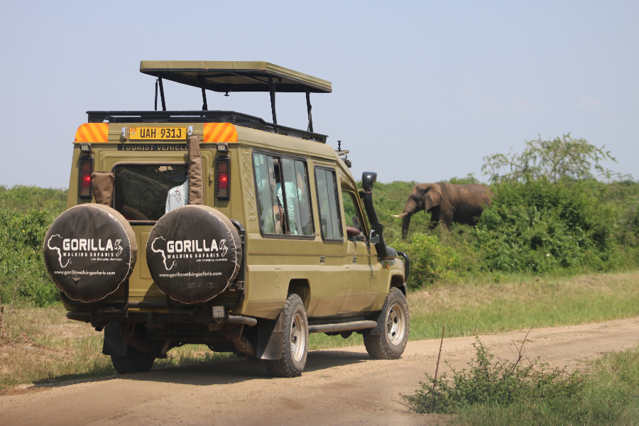 Customised 4x4 Safari Vehicles - ©Gorilla Walking Safaris