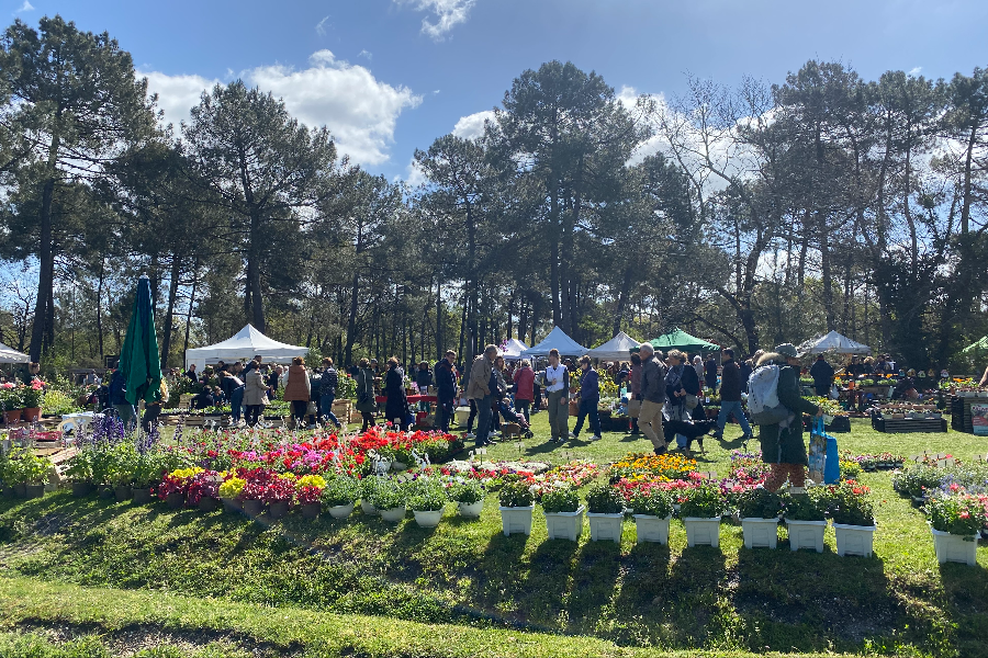 Pôle Plantes et Jardin au Printemps de la Forêt du Bourgailh - ©Ecosite du Bourgailh