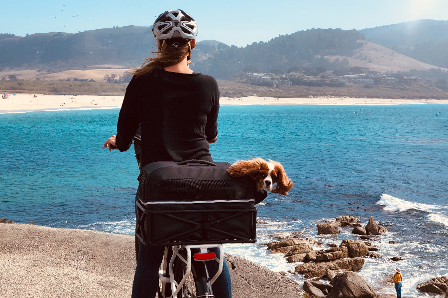 Plage de Carmel avec vélo et chien - ©DR