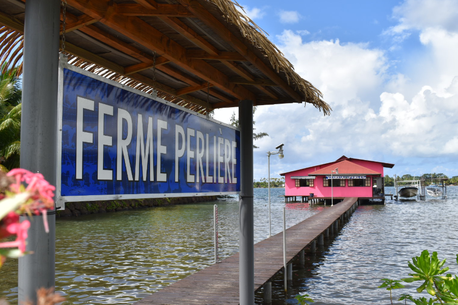 La ferme Perlière VAIRUA PERLES - ©Vairua Perles