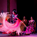 Spectacle de flamenco - ©El Palacio Andaluz