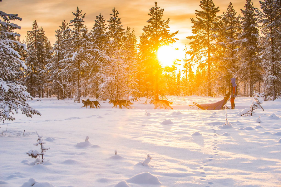 NORDIC.BE