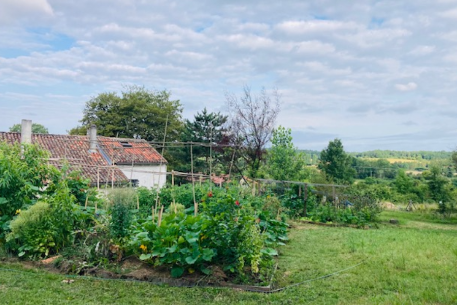 Le potager permaculturel - ©C Tout Vert