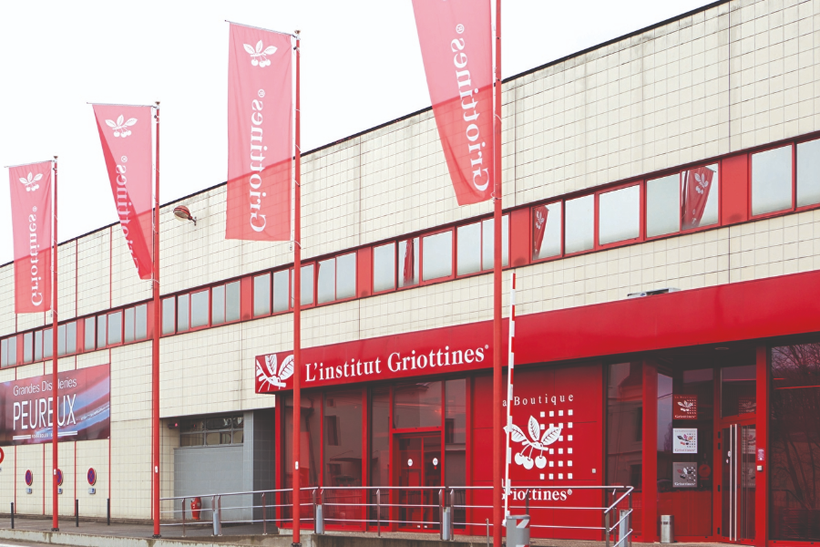 INSTITUT GRIOTTINES