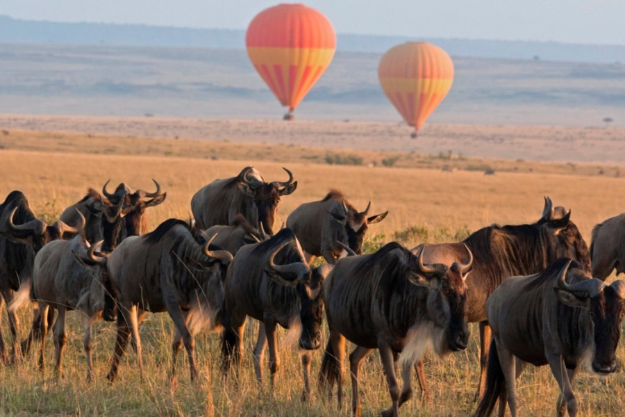Balloon Safaris Ltd - ©Balloon Safaris Ltd