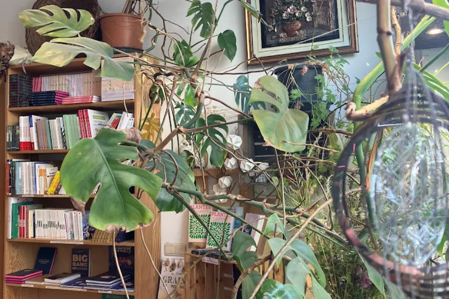 L'HERBORISTERIE DE LOUISE