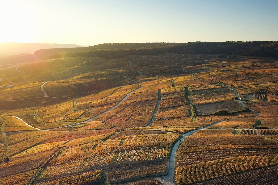 Explorez les magnifiques paysages de Champagne ! - ©@erell.digital