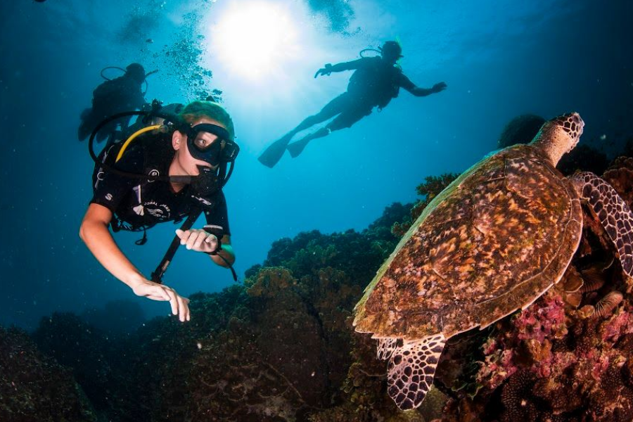 dive in Koh Tao, Thailand, a kid diver is watching a turtle in the sea - ©Coral Grand Divers