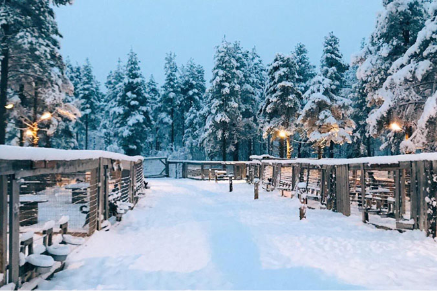 L'hiver en Suède - ©Nordic.be