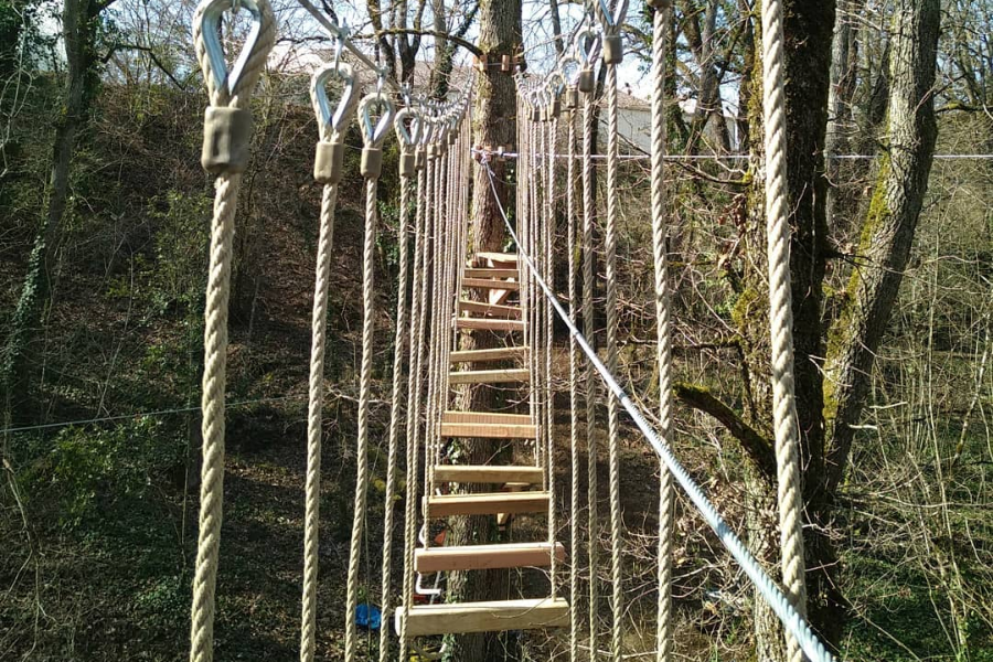 LE BOIS DES ELFES