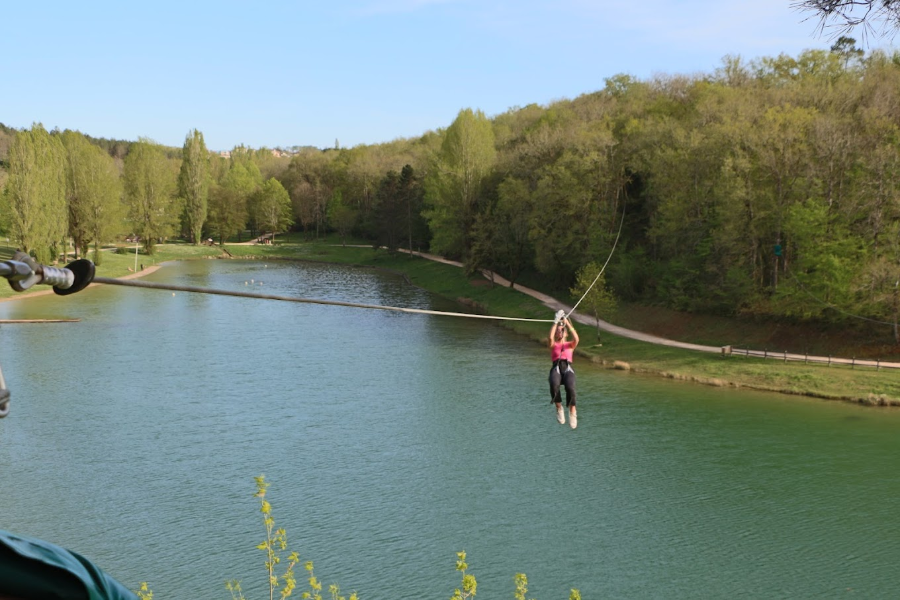 LE BOIS DES ELFES