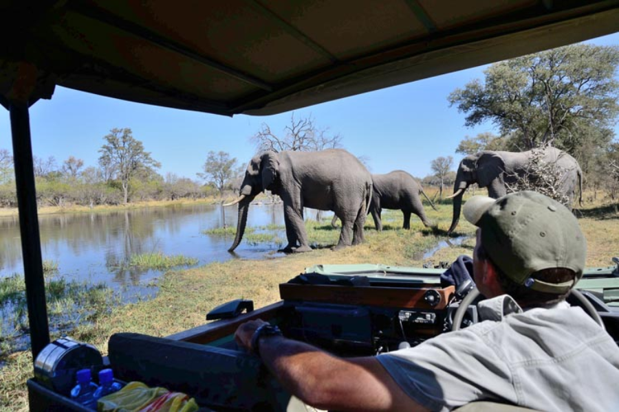 SAFARIS 2 BOTSWANA - ©SAFARIS 2 BOTSWANA