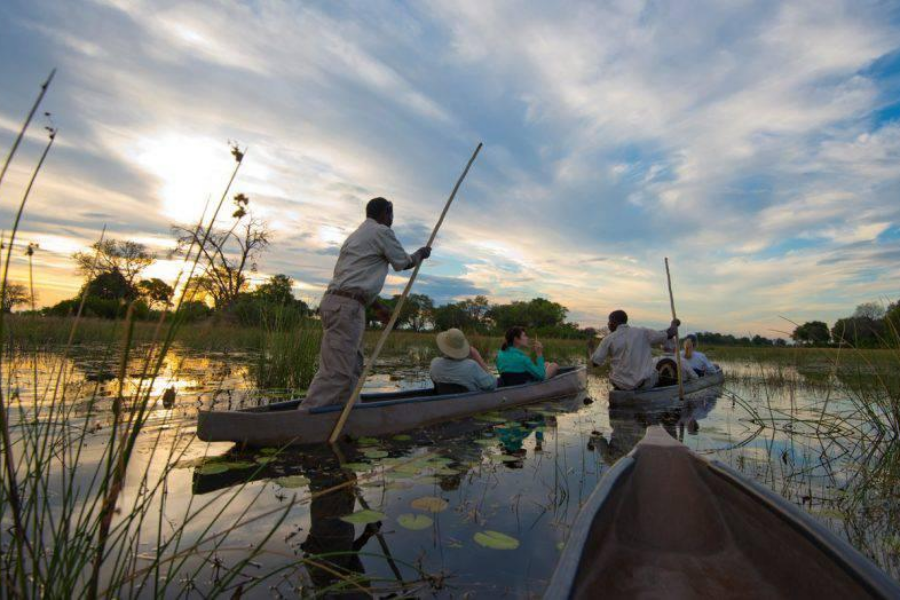 SQUAMATER SAFARIS - ©SQUAMATER SAFARIS