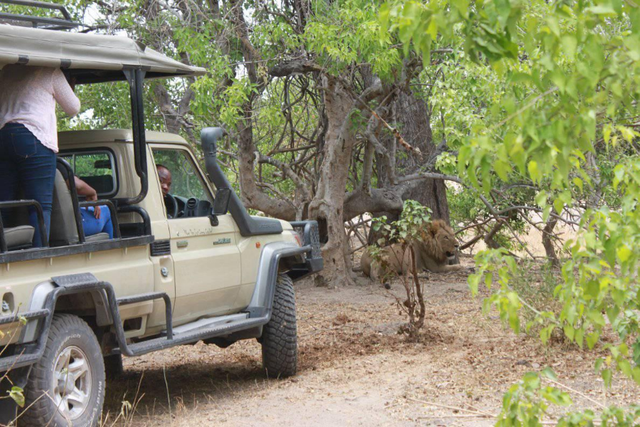 SQUAMATER SAFARIS - ©SQUAMATER SAFARIS