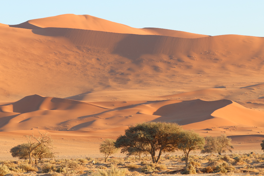 Sossusvlei - ©Motema Tours and Safaris