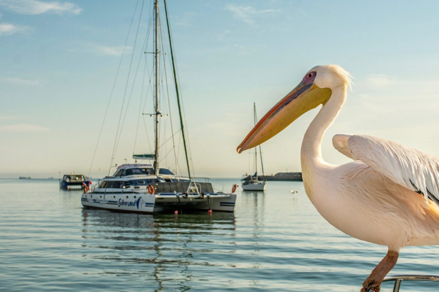 Walvis Bay - ©Motema Tours and Safaris