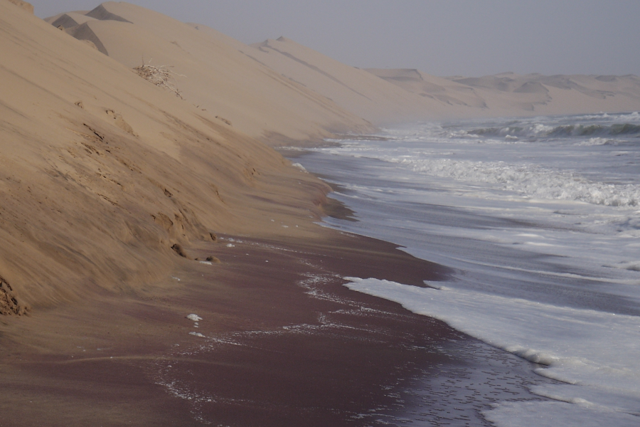 Where the desert meets the Atlantic ocean - ©Red Dune Safaris Namibia
