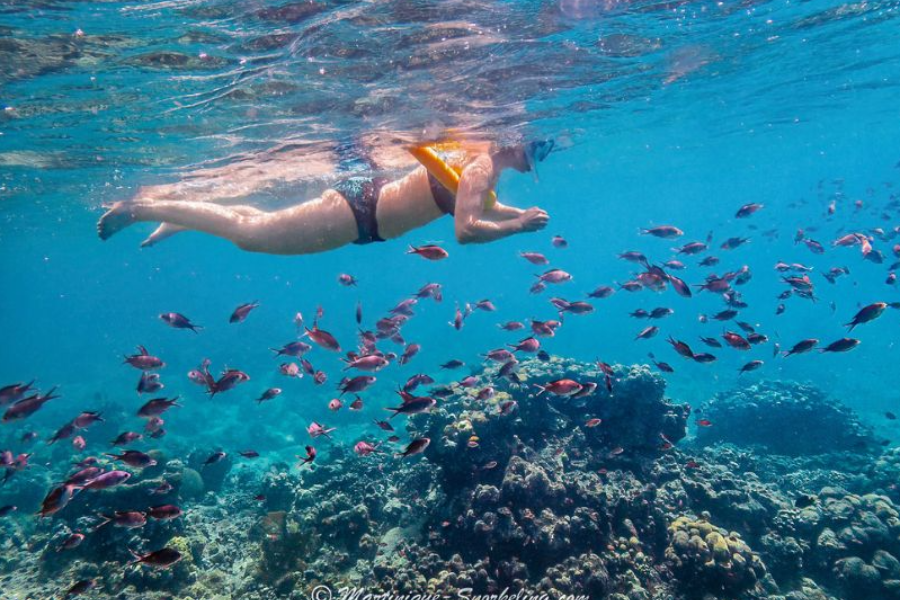 après la randonnée palmée - ©martinique-snorkeling.com