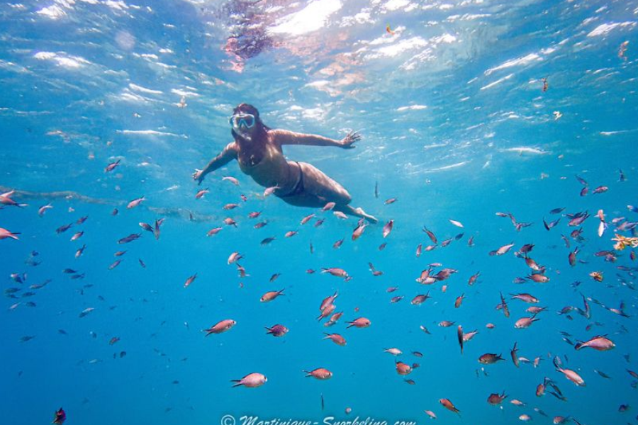 grand spectacle - ©martinique-snorkeling.com