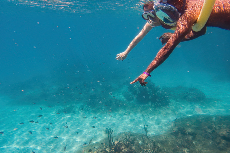 découverte à deux - ©martinique-snorkeling.com