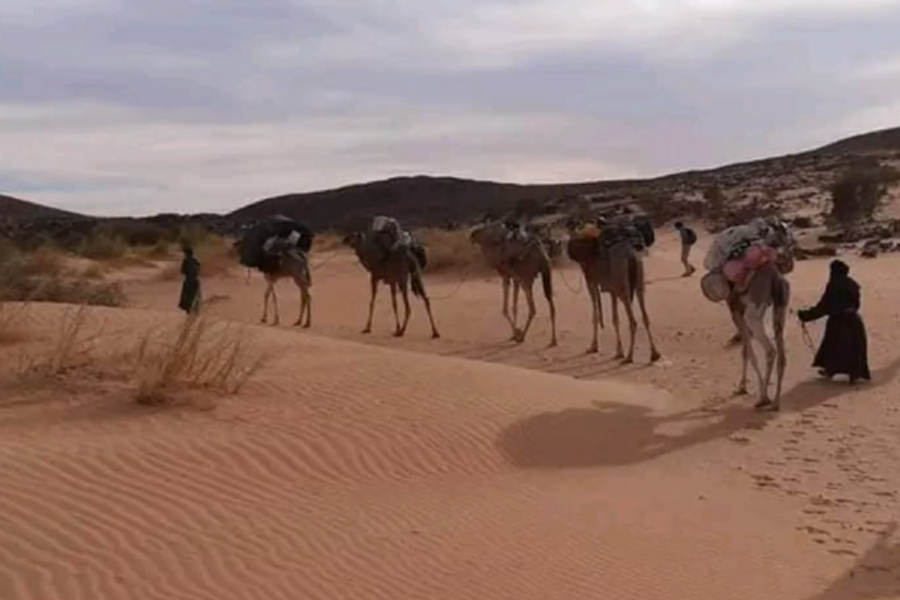 Tour en Mauritanie - ©client