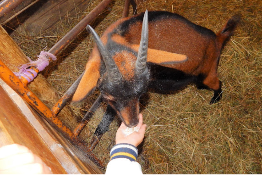 LA FERME AUX TROIS GRANGES