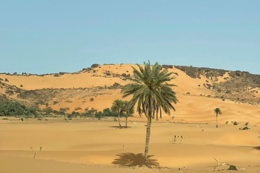 Desert de Mauritanie - ©Yslem Exploration