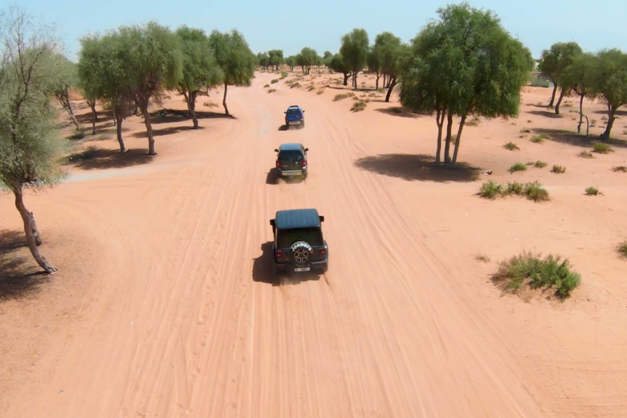 Journey RAK, Forêt de Ghafs vue de drone, Unveil Arabia Journey - ©Unveil Arabia, http://unveilarabia.com