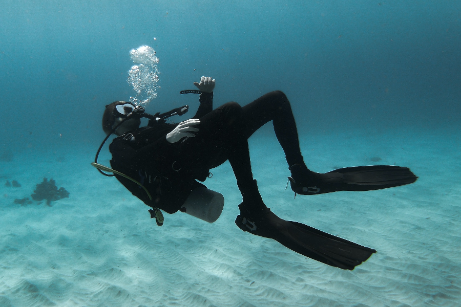Voyagez sous l’océan avec une plongée au pied du rocher du diamant. - ©Dauphins émotion excursion