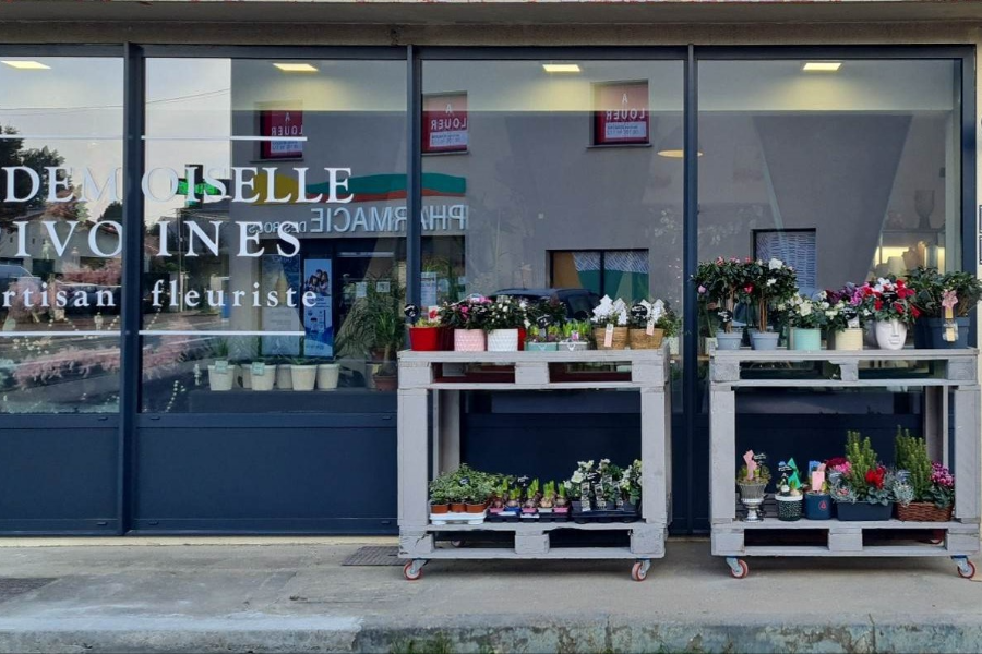 MADEMOISELLE PIVOINES