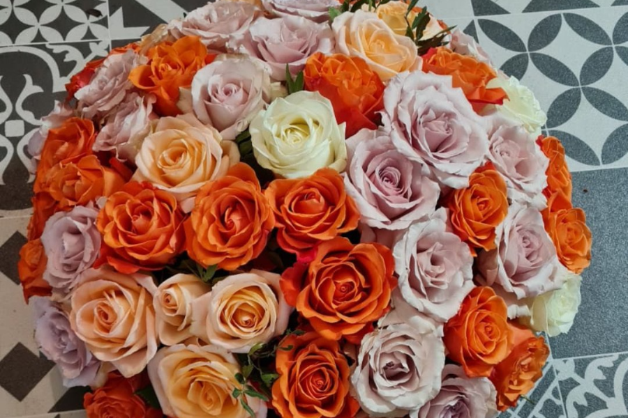 MADEMOISELLE PIVOINES