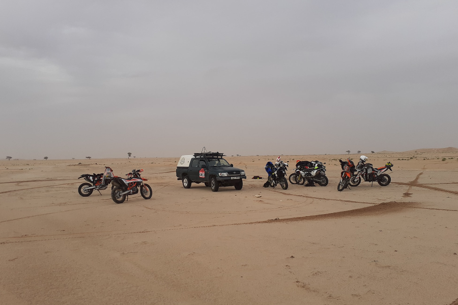 TRARZA TOUR